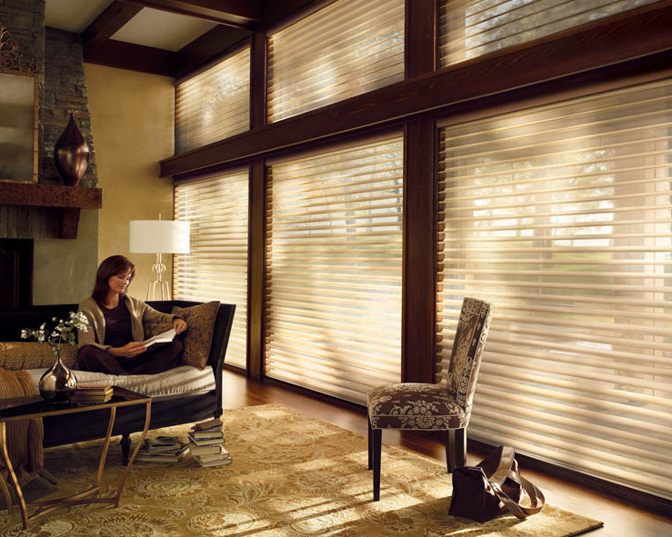 Val U Blinds - Rochester, Minnesota - Winona, Red Wing, Wabasha, Lake City, Custom Blinds, Installation, Free Estimate, Black out, wireless. automatic, cordless, motorized, insulated, solar, sheer, drapes, window treatments, new construction, remodels, Mayo, Clinic, Town Homes, Commercial, Dentist, Lawyers, Offices, Apartments, Suites, Professional, Olmsted County, Goodhue County, Winona County